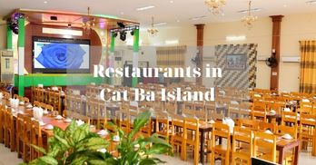 The top 07 restaurants in Cat Ba Island you should try - [Updated in 2021]